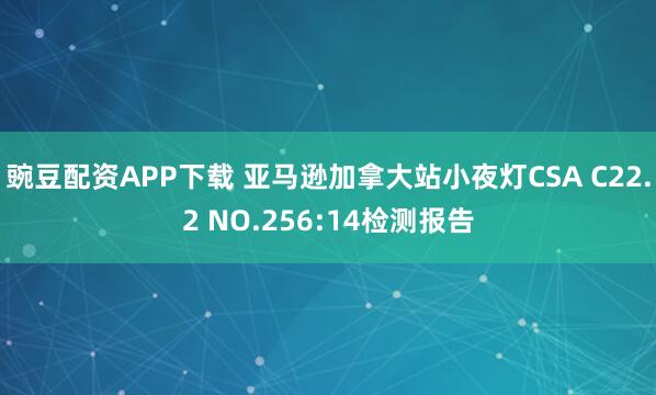 豌豆配资APP下载 亚马逊加拿大站小夜灯CSA C22.2 NO.256:14检测报告