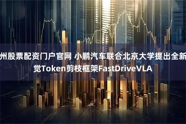 杭州股票配资门户官网 小鹏汽车联合北京大学提出全新视觉Token剪枝框架FastDriveVLA