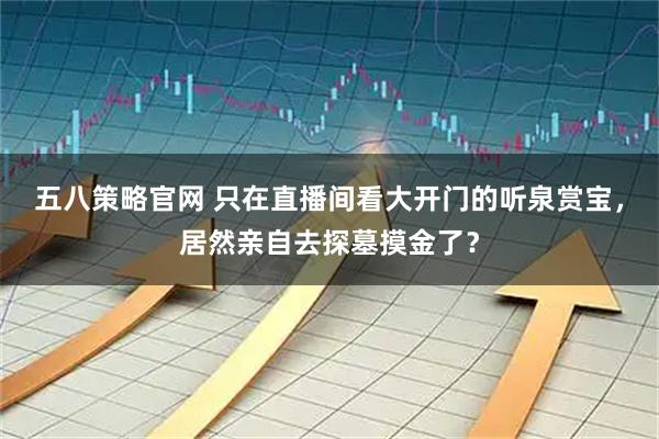 五八策略官网 只在直播间看大开门的听泉赏宝，居然亲自去探墓摸金了？