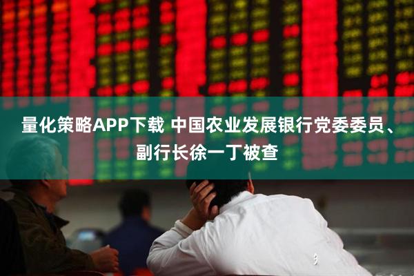 量化策略APP下载 中国农业发展银行党委委员、副行长徐一丁被查