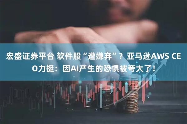 宏盛证券平台 软件股“遭嫌弃”？亚马逊AWS CEO力挺：因AI产生的恐惧被夸大了！